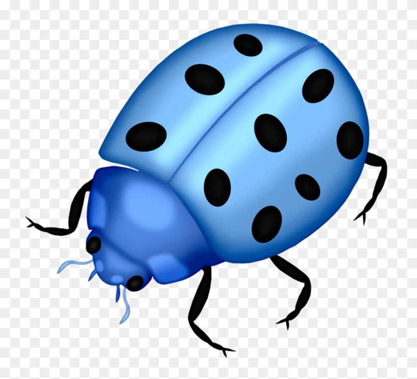 800x722 Bug Clip Art, Lady Bugs And Album - Bugs PNG