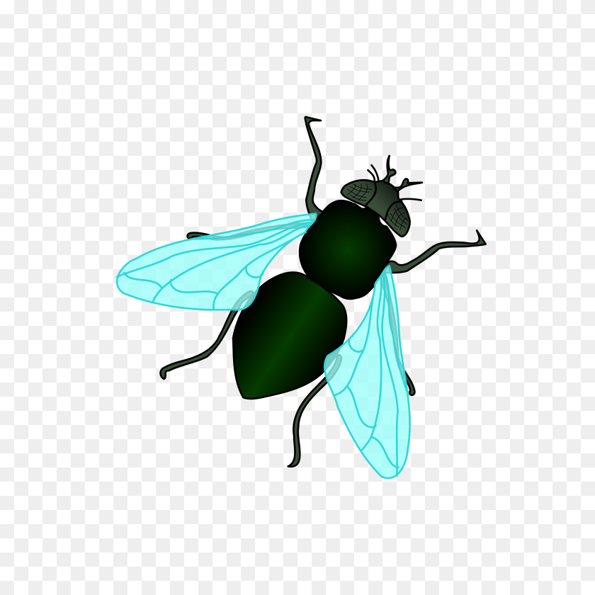 2400x2400 Bug Clipart House Fly - Flies Clipart Black And White