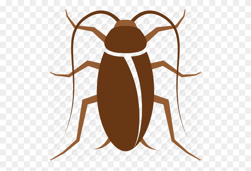 512x512 Bug, Cock, Cockroach, Control, Household, Pest, Roach Icon - Roach PNG
