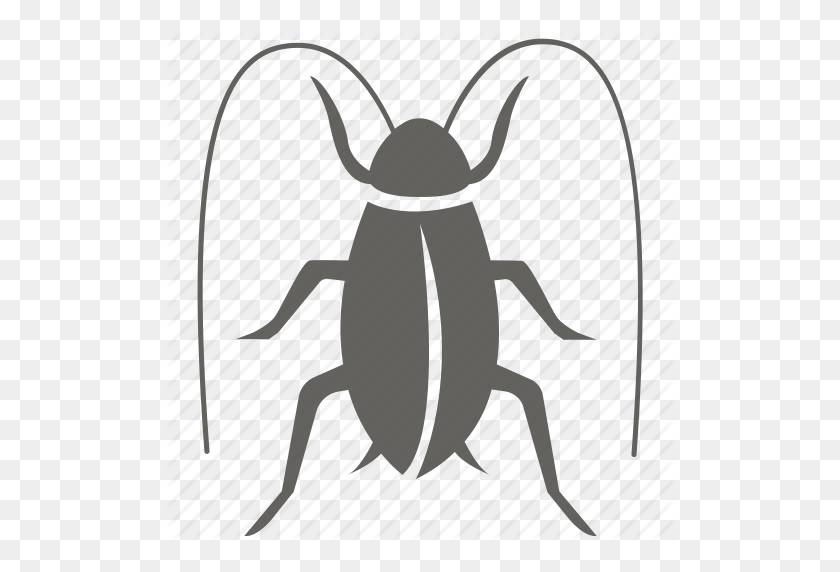 512x512 Bug, Cockroach, Infestation, Insect, Pest, Removal, Roach Icon - Roach PNG