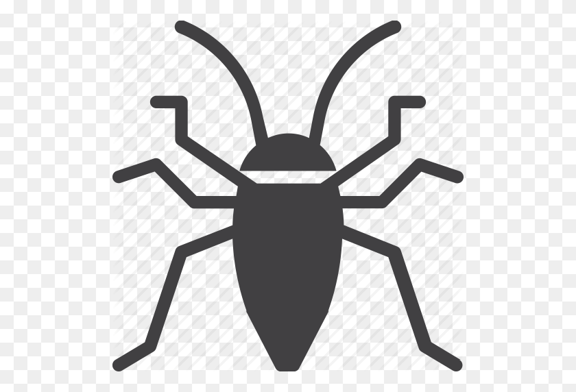 512x512 Bug, Cockroach, Insect, Roach Icon - Roach PNG