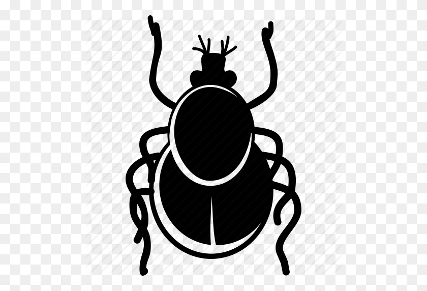 512x512 Bug, Danger, Infection, Insect, Parasite, Safety, Tick Icon - Parasite Clipart
