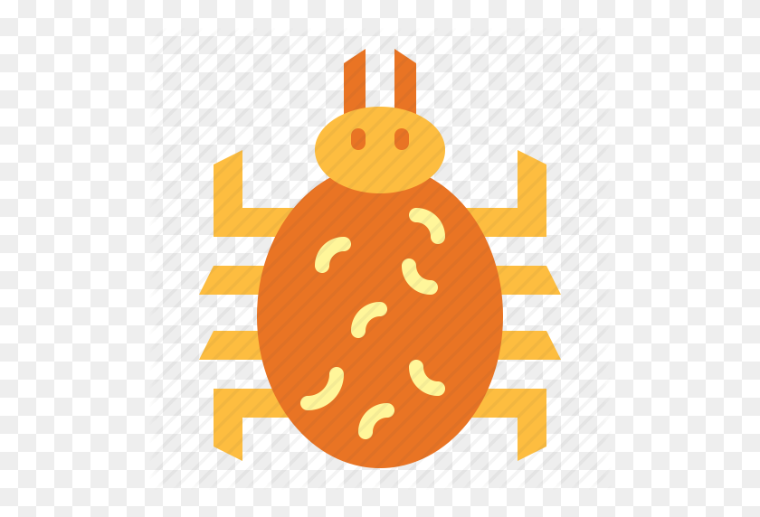 512x512 Bug, Flea, Insect, Parasite Icon - Flea PNG