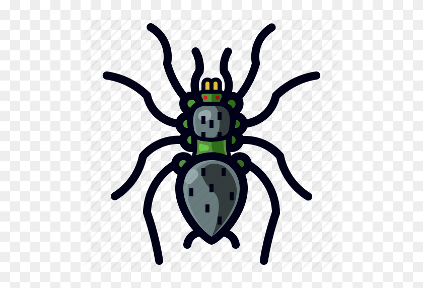 512x512 Bug, Halloween, Insect, Spider, Tarantula Icon - Tarantula PNG