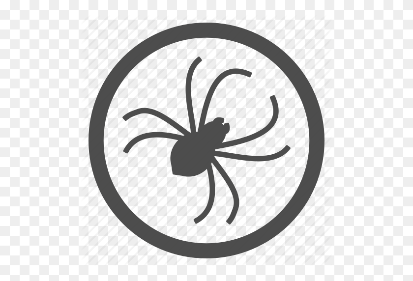 512x512 Error, Infección, Insecto, Parásito, Plaga, Araña, Icono De Web - Tela De Araña Png