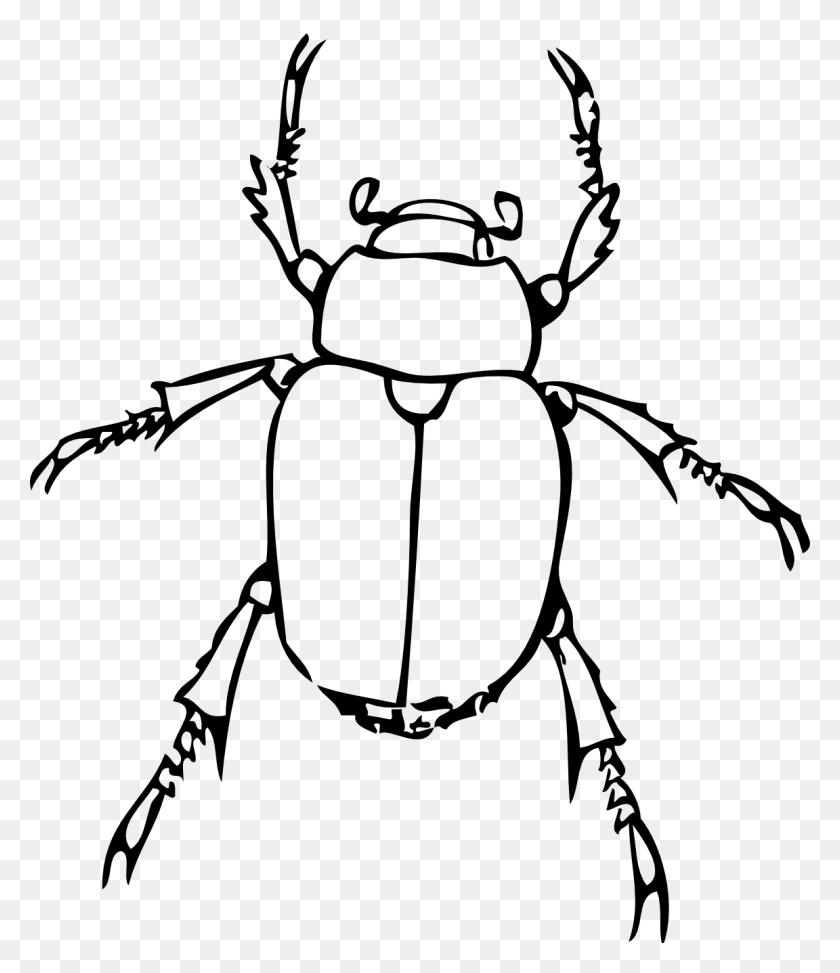 1152x1349 Bug Line Drawing Line Drawings Printables Art - Scarab Beetle Clipart