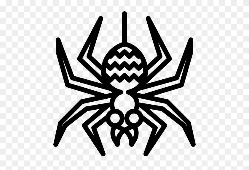 512x512 Bug, Scary, Spider, Tarantula, Web Icon - Tarantula PNG