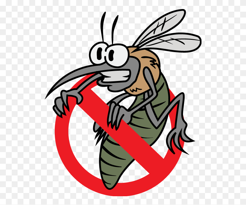 536x641 Los Insectos De La Enfermedad - Mosquito Png