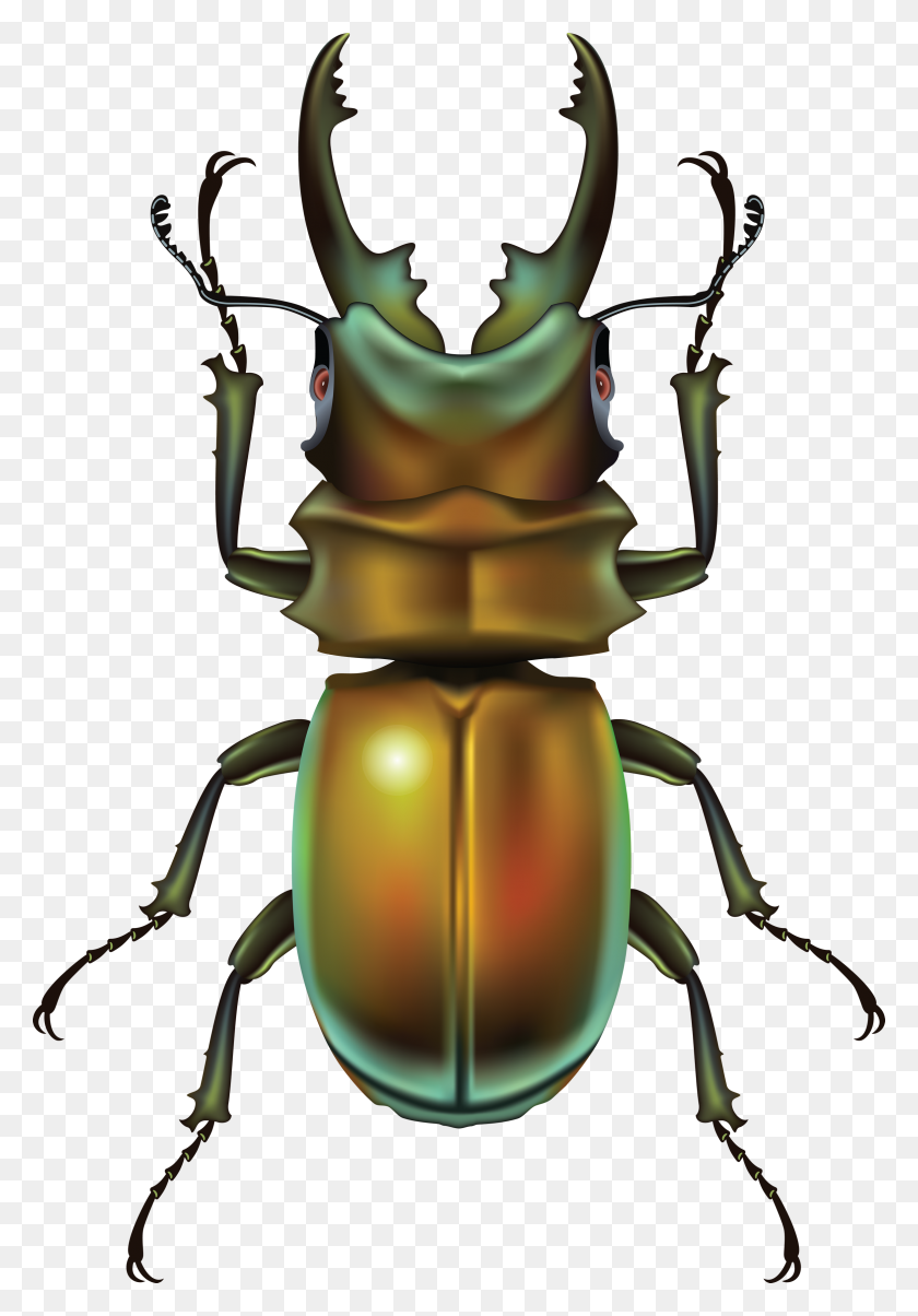 2352x3450 Bugs Icon Png Iconos Web Png - Bugs Png