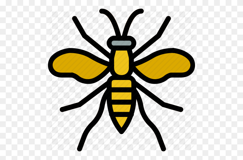 512x494 Bugs Insects - Wasp PNG