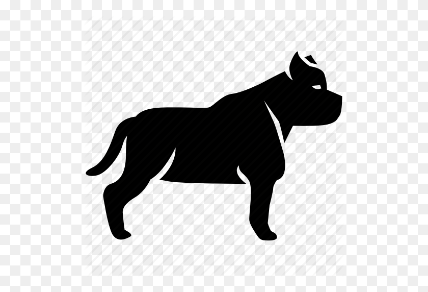 512x512 Bull, Bulldog, Perro, Lucha, Pit, Pitbull, Terrier Icono - Pitbull Png