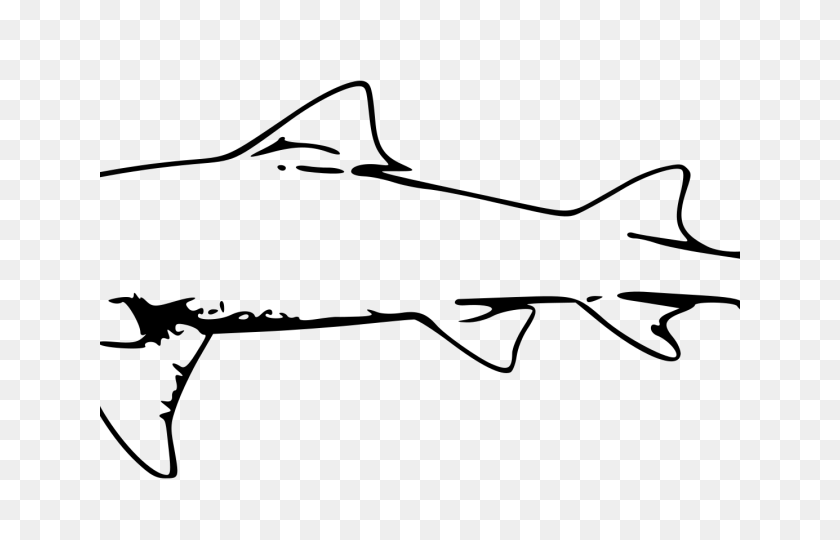 640x480 Bull Shark Clipart - Shark Bite Clipart
