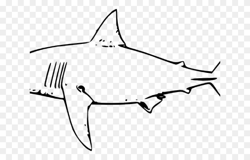 640x480 Bull Shark Clipart Black And White - Shark Clipart Black And White