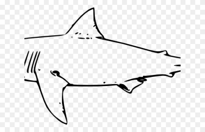 640x480 Бычья Акула Клипарт Брюс - Изображения Акулы Клипарт