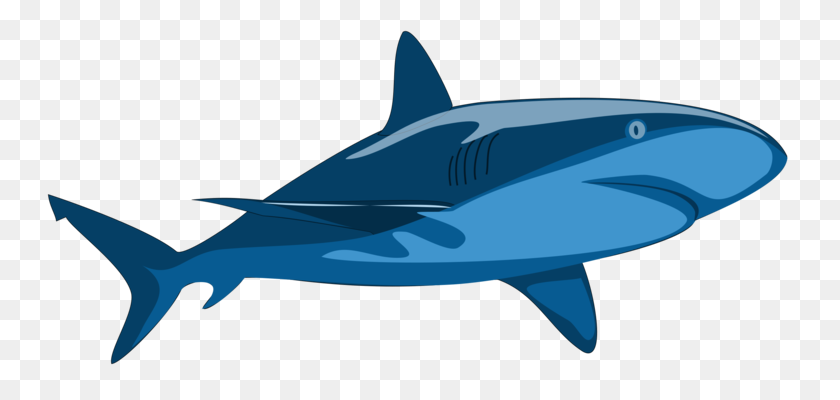 756x340 Бык Акула Большая Белая Акула Хрящевые Рыбы Синяя Акула Бесплатно - Нападение Акулы Клипарт