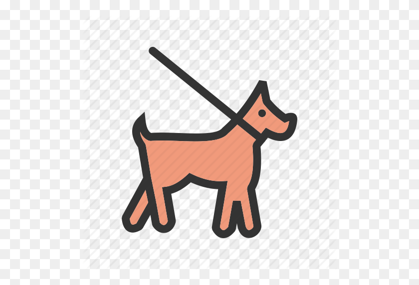 512x512 Bulldog, Collar, Dog, Lead, Leash, Puppy, Training Icon - Dog On Leash Clip Art