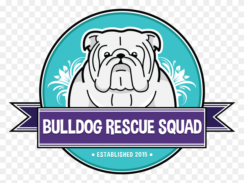 2136x1563 Bulldog Rescue Squad Dallasfort Worth Bulldog Rescue Be - Bulldog PNG
