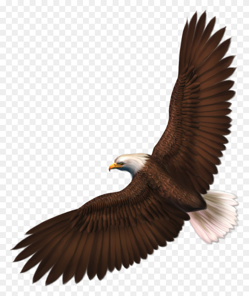 1001x1200 Bulletin Board Ideas Birds - Patriotic Eagle Clipart