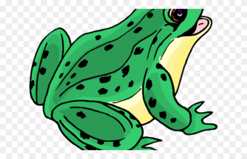 640x480 Bullfrog Clipart Tongue - Bullfrog Clipart