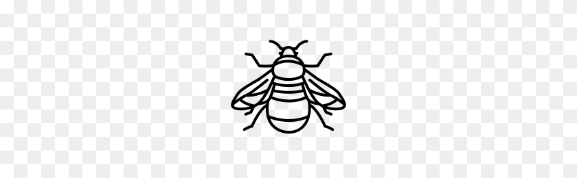 200x200 Bumble Bee Iconos De Proyecto Sustantivo - Bumble Bee Png