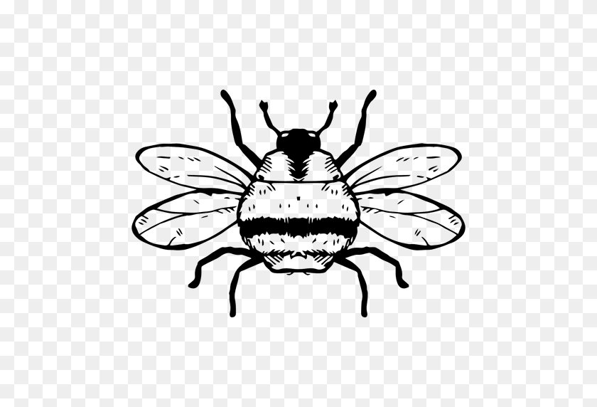 512x512 Bumble Bee Stroke - Bumblebee PNG