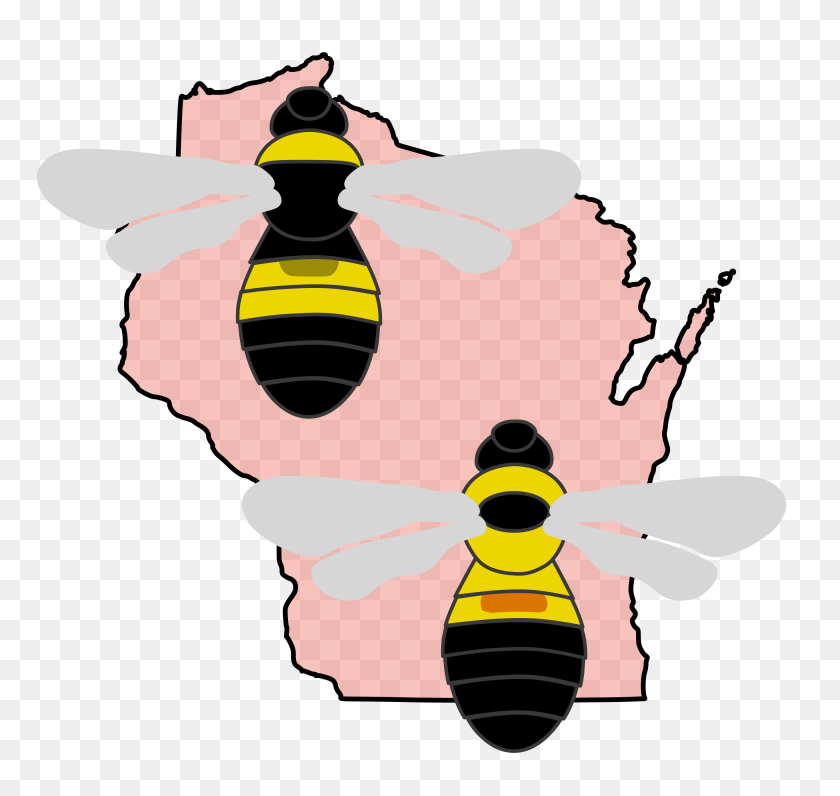 2730x2576 Bumble Bees Of Wisconsin Online Guide, Information, And Ongoing - Bumblebee PNG