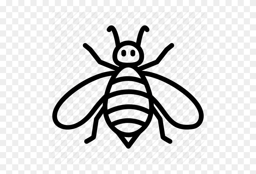 512x512 Bumblebee, Cartoon Bee, Fly, Honey Bee, Insect Icon - Cartoon Bee PNG