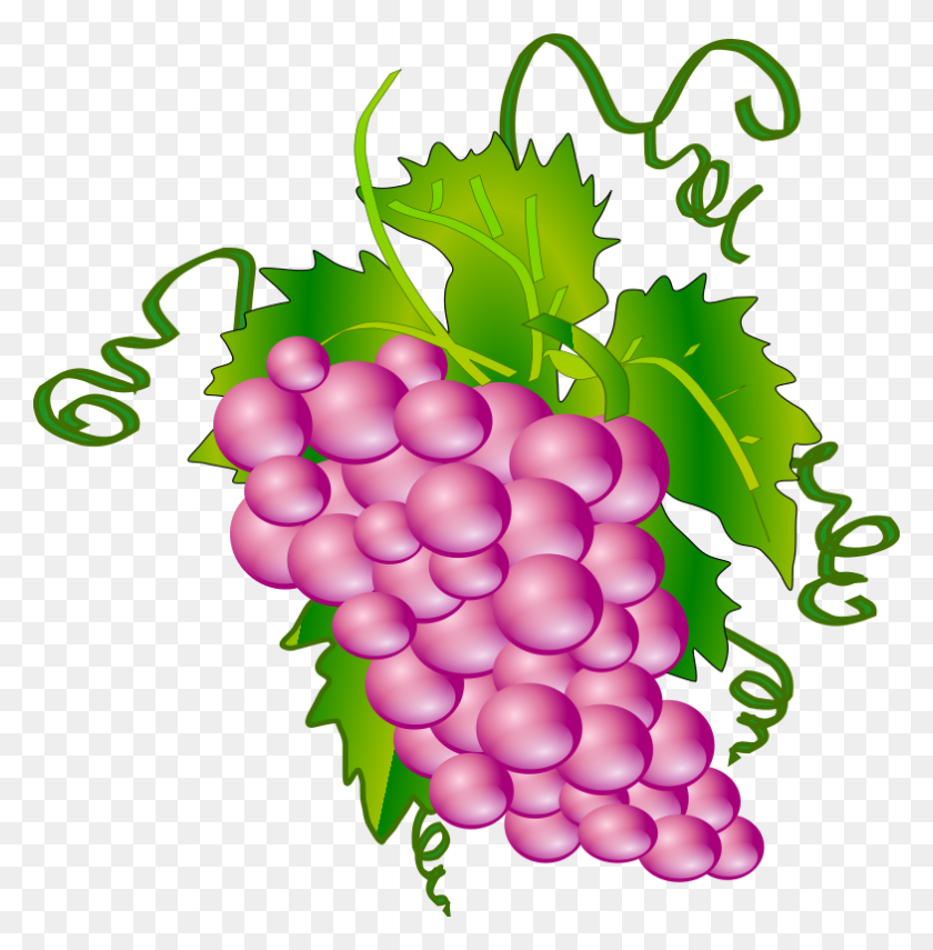 784x800 Bunch Of Grapes Clip Art - Uva Clipart
