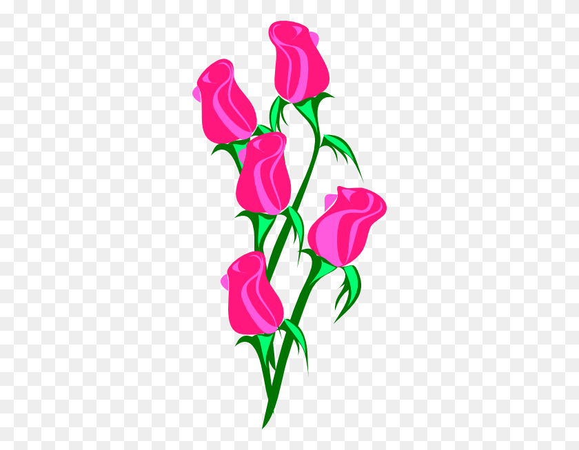282x593 Bunch Of Pink Roses Clip Art - Rose Bud Clipart