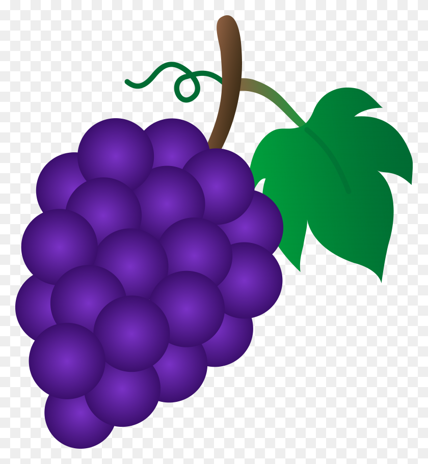 4801x5243 Гроздь Фиолетового Винограда - Фиолетовый Виноград Клипарт