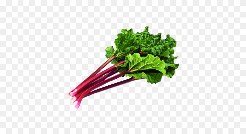 400x400 Bundle Of Rhubarb With Leaves Transparent Png - Spinach PNG