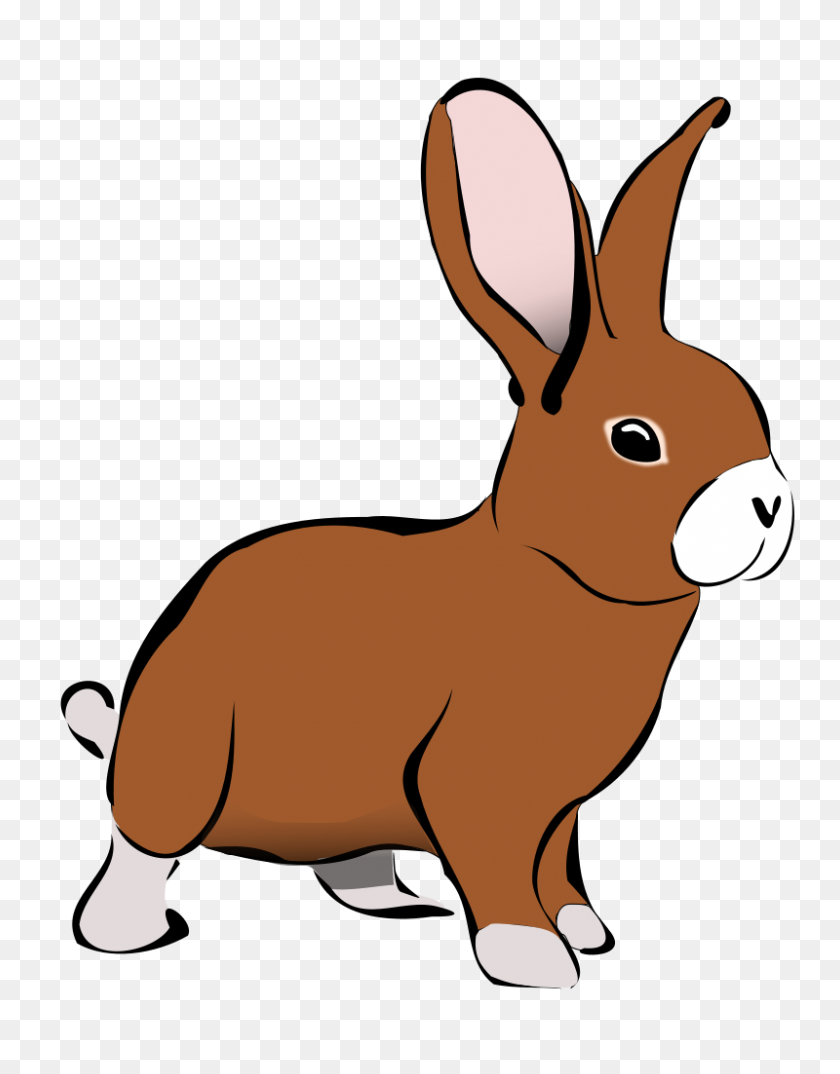 800x1041 Bunny Clipart Animal - Cute Easter Bunny Clipart
