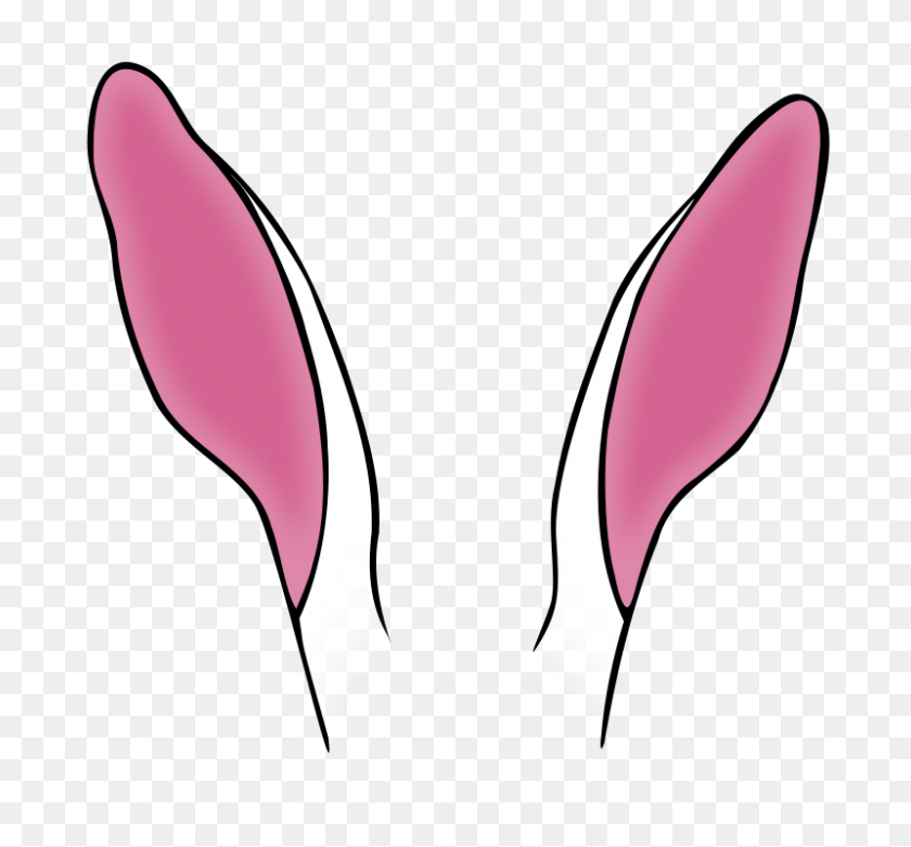 Bunny Ears Headband Png : The bunny ears are attached to a gold plated