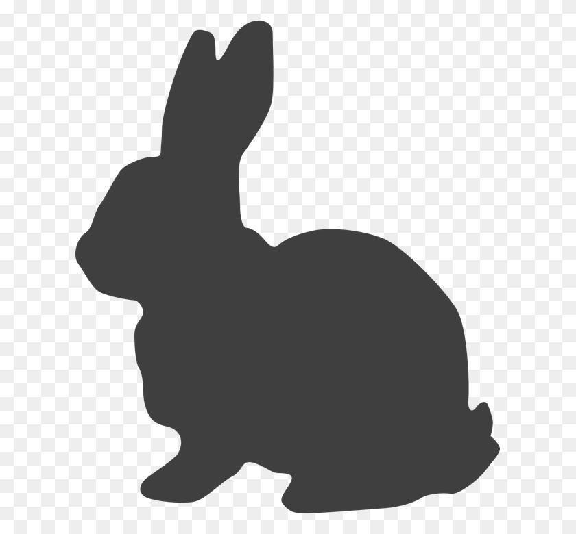 619x720 Обои Для Рабочего Стола Bunny Graphic - Rabbit Face Clipart