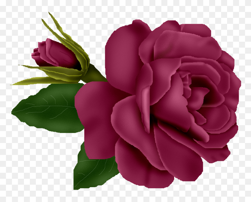 2100x1665 Burgundy Rose Clip Art Free Cliparts - Burgundy Rose Clipart