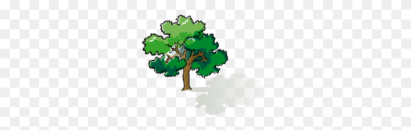 260x207 Burr Oak Tree Clipart - Sycamore Tree Clipart