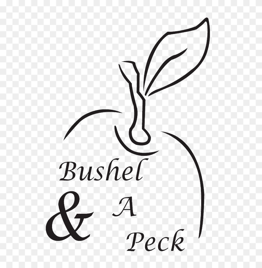 557x800 Bushel And A Peck Bakery - Apple Orchard Clipart