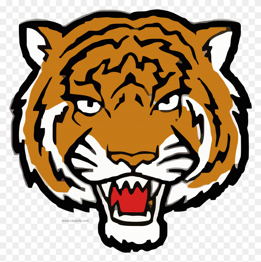 3450x3467 But Angry Tiger Face Clipart Png Image Download - Tiger Face PNG