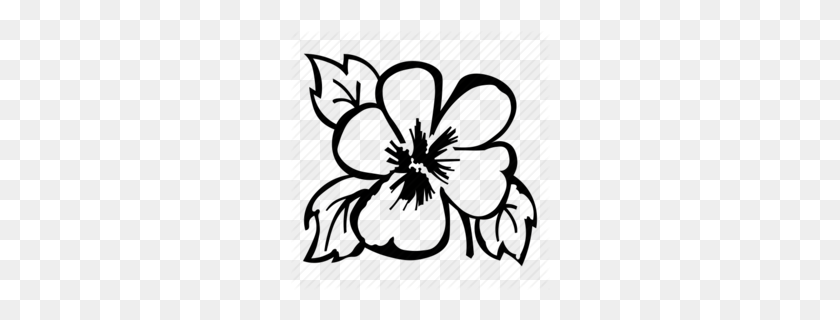260x260 Buttercup Gizmo Clipart - Black And White Floral Clipart