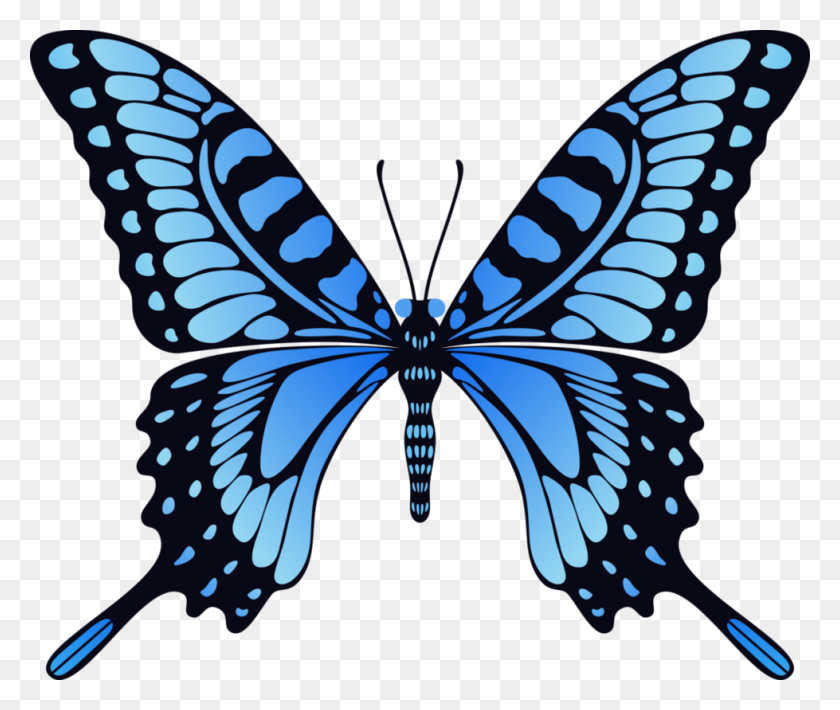 979x816 Бабочки Бабочка, Голубая - Голубая Бабочка Png
