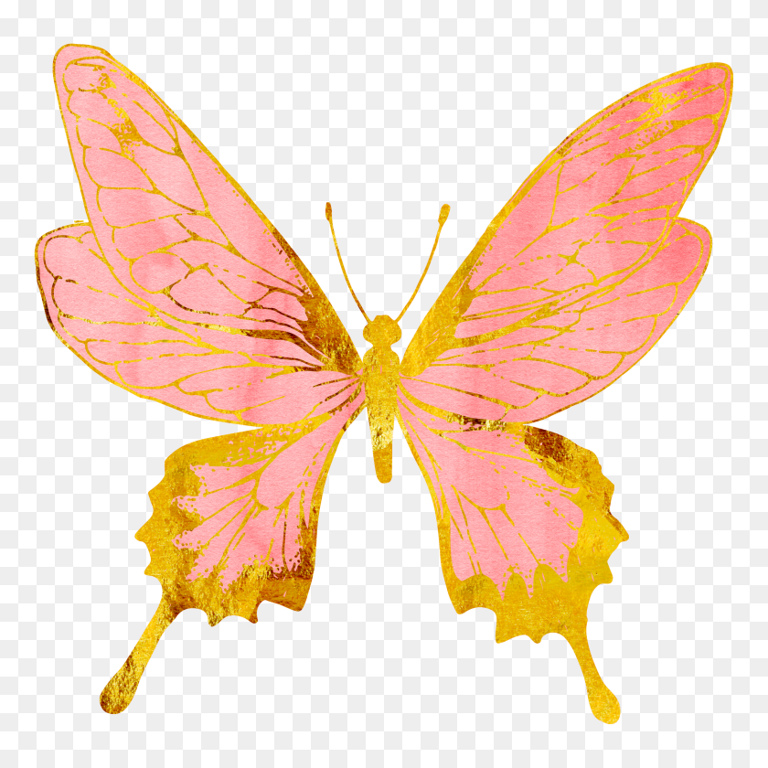 Бабочки Бабочка Пастель Розовое Золото Золотое Золото - Клипарт Из Розового...
