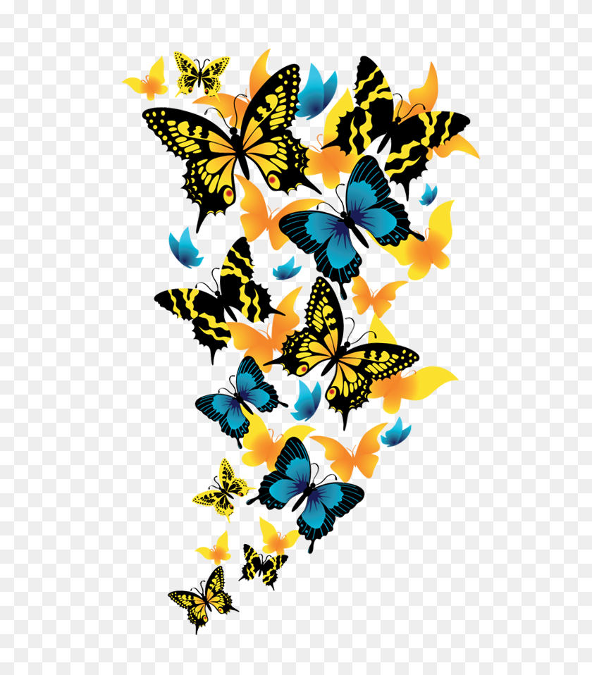 572x898 Клипарт Бабочки - Бабочка Клипарт