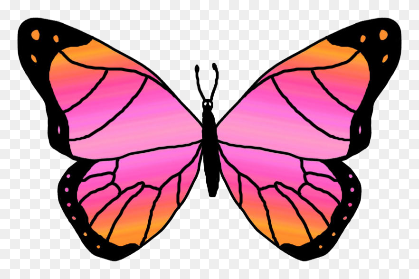 821x527 Butterflies Clipart Picture - Flying Butterfly Clipart