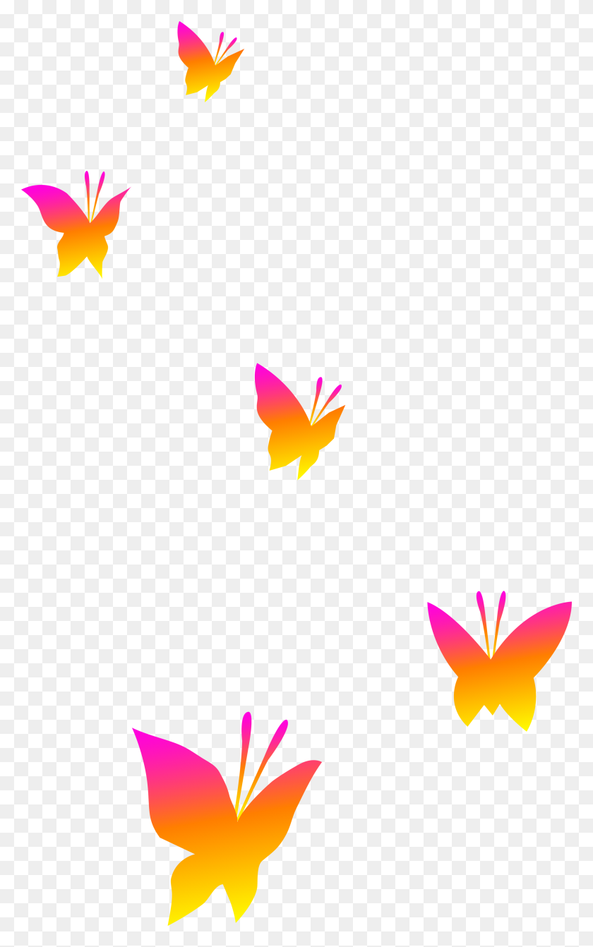 2736x4500 Butterfly - Summer Border Clipart