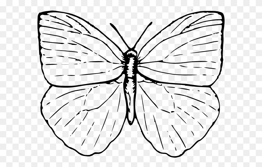 600x475 Черно-Белый Клипарт Бабочка. Черно-Белый Клипарт Бабочки Бесплатно