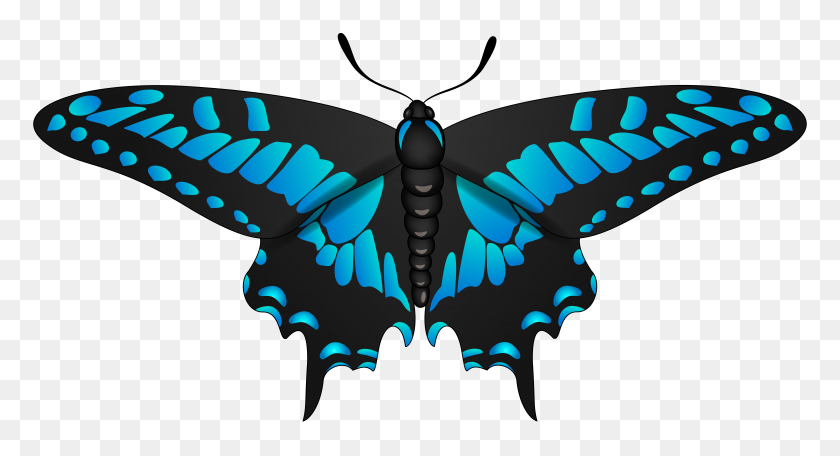 8000x4069 Бабочка Синий Черный Картинки - Мотылек Клипарт