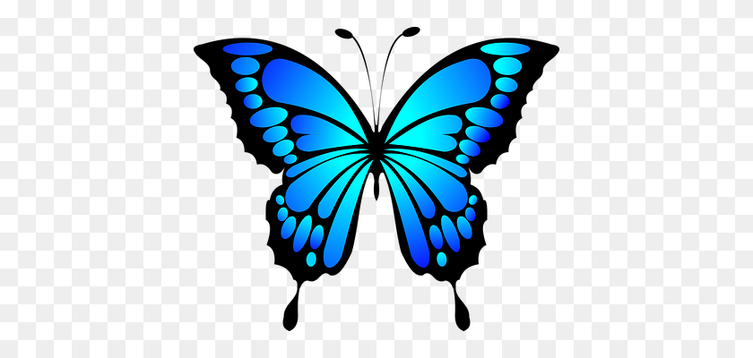 408x340 Mariposa, Azul, Insecto, Verano Hermosas Mariposas - Cocoon Clipart