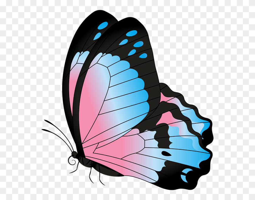 572x600 Butterfly Blue Pink Transparent Clip Art Gallery - Pink Butterfly PNG