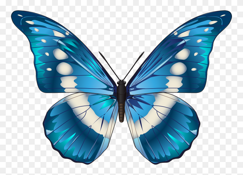 3500x2446 Butterfly Blue Png Clip Art - Butterfly PNG Clipart