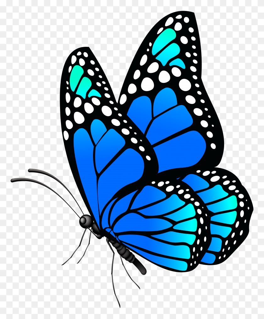 6521x8000 Butterfly Blue Png Clip Art - Free Insect Clipart